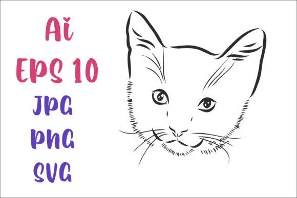 Cat Kitten Vector Sketch Review