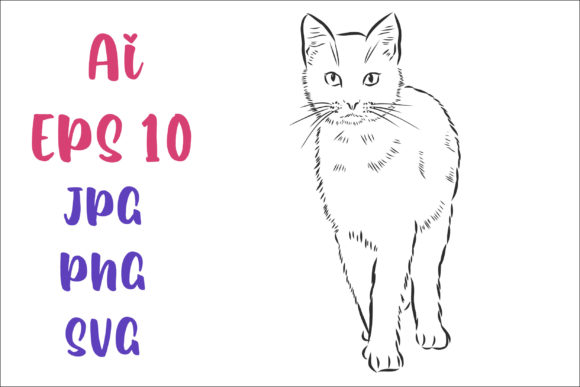 Cat Vector Sketch Review for Embroidery Projects